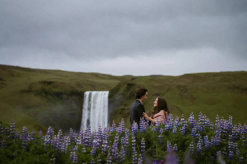 "Couple standing in a field of purple lupines with Skógafoss waterfall in the background during an Iceland summer elopement