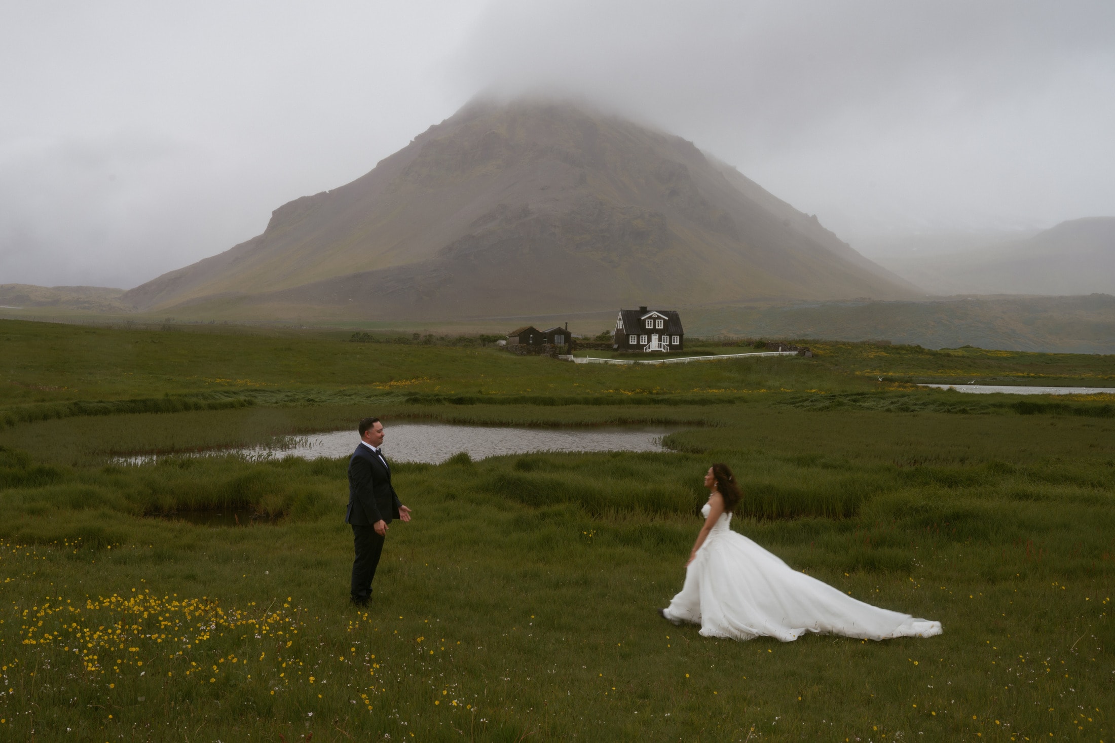 Wild Iceland