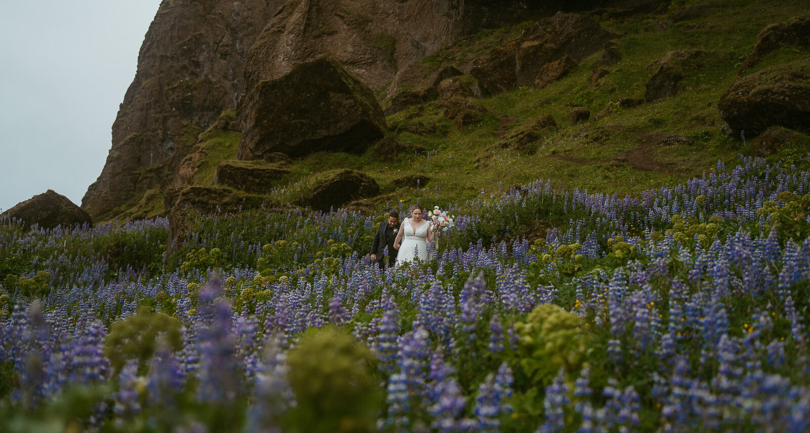 a couple standing in a field of lupines in iceland reading vows